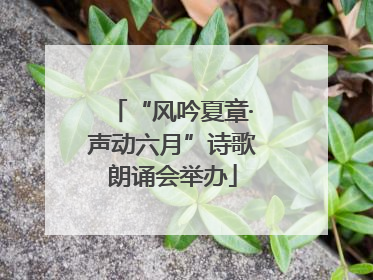 “风吟夏章·声动六月”诗歌朗诵会举办
