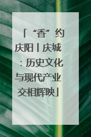 “香”约庆阳丨庆城：历史文化与现代产业交相辉映