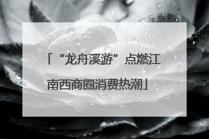 “龙舟溪游”点燃江南西商圈消费热潮