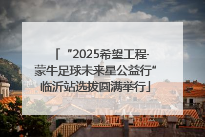 “2025希望工程·蒙牛足球未来星公益行”临沂站选拔圆满举行