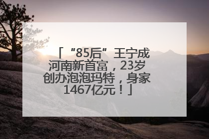 “85后”王宁成河南新首富，23岁创办泡泡玛特，身家1467亿元！