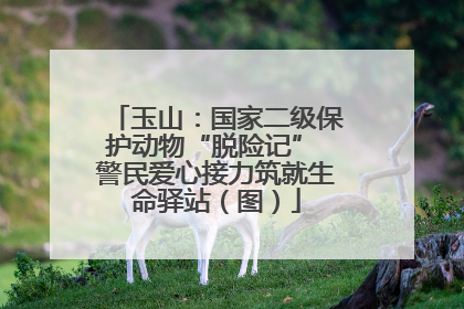 玉山：国家二级保护动物“脱险记” 警民爱心接力筑就生命驿站（图）