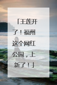 王莲开了！福州这个网红公园，上新了！