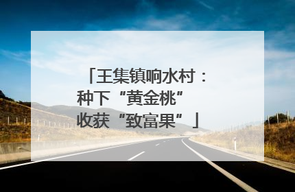 王集镇响水村：种下“黄金桃” 收获“致富果”