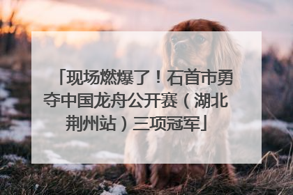 现场燃爆了！石首市勇夺中国龙舟公开赛（湖北荆州站）三项冠军