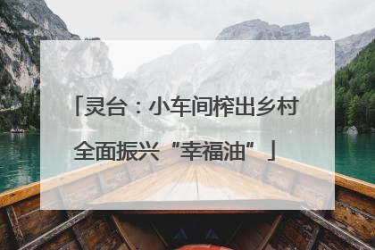 灵台：小车间榨出乡村全面振兴“幸福油”