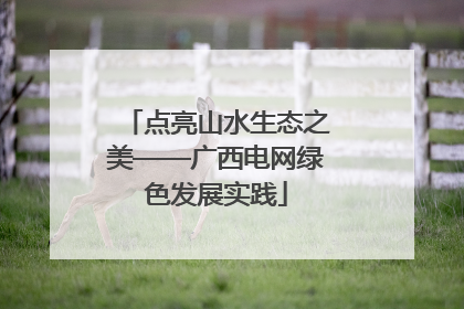 点亮山水生态之美——广西电网绿色发展实践