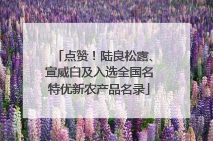 点赞！陆良松露、宣威白及入选全国名特优新农产品名录