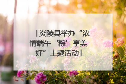 炎陵县举办“浓情端午‘粽’享美好”主题活动