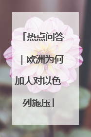热点问答｜欧洲为何加大对以色列施压