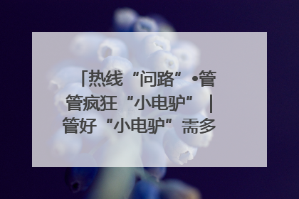 热线“问路”•管管疯狂“小电驴”｜管好“小电驴”需多部门形成合力