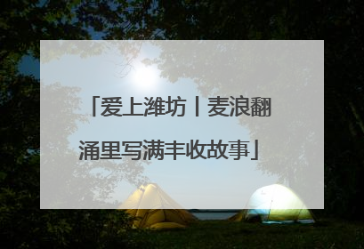 爱上潍坊丨麦浪翻涌里写满丰收故事