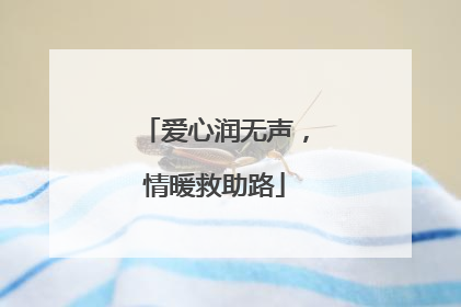 爱心润无声，情暖救助路