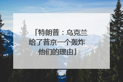 特朗普：乌克兰给了普京一个轰炸他们的理由