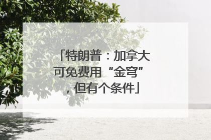 特朗普：加拿大可免费用“金穹”，但有个条件