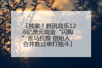 独家！腾讯音乐12.6亿美元现金“闪购”喜马拉雅 创始人：合并胜过单打独斗