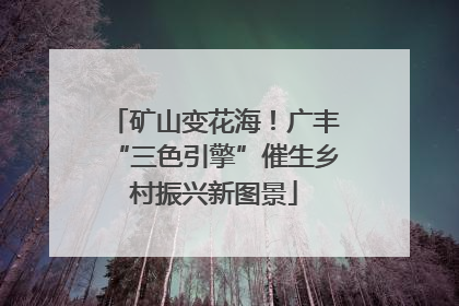 矿山变花海！广丰“三色引擎”催生乡村振兴新图景