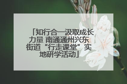 知行合一汲取成长力量 南通通州兴东街道“行走课堂”实地研学活动