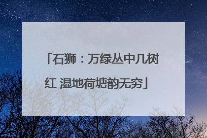 石狮：万绿丛中几树红 湿地荷塘韵无穷