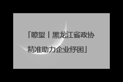 瞭望丨黑龙江省政协精准助力企业纾困
