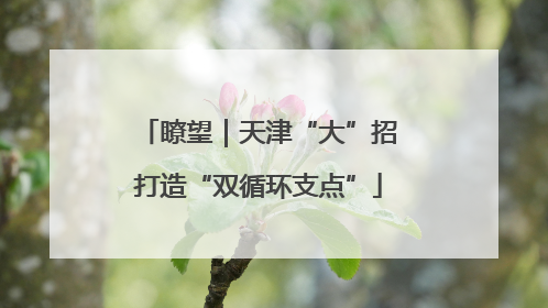 瞭望｜天津“大”招打造“双循环支点”