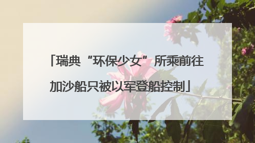 瑞典“环保少女”所乘前往加沙船只被以军登船控制