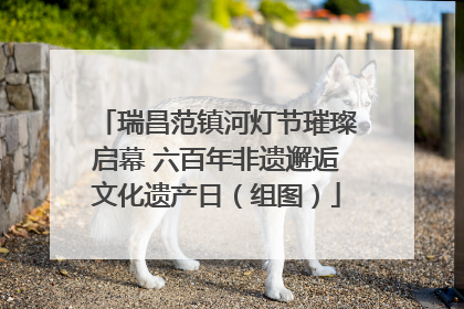 瑞昌范镇河灯节璀璨启幕 六百年非遗邂逅文化遗产日（组图）