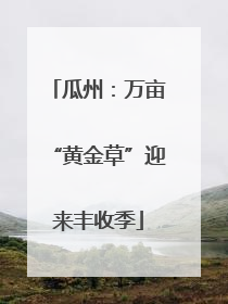 瓜州：万亩“黄金草”迎来丰收季