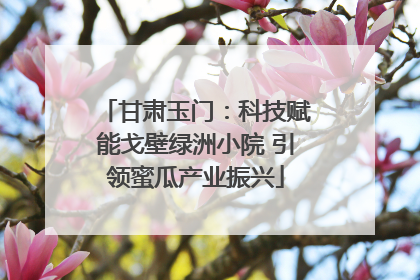 甘肃玉门：科技赋能戈壁绿洲小院 引领蜜瓜产业振兴