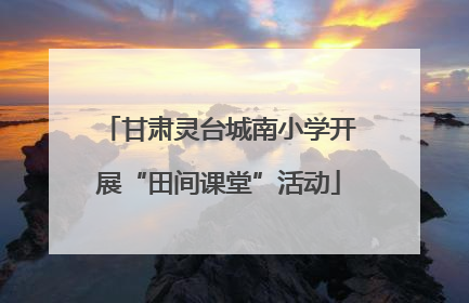 甘肃灵台城南小学开展“田间课堂”活动