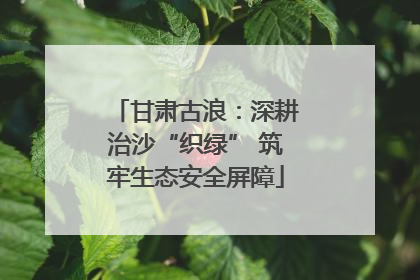 甘肃古浪：深耕治沙“织绿” 筑牢生态安全屏障