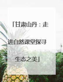 甘肃山丹：走进自然课堂探寻生态之美