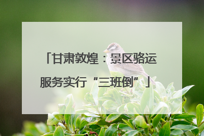 甘肃敦煌：景区骆运服务实行“三班倒”