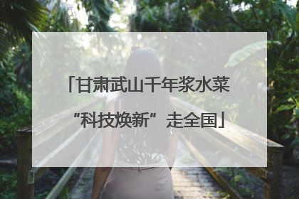 甘肃武山千年浆水菜“科技焕新”走全国