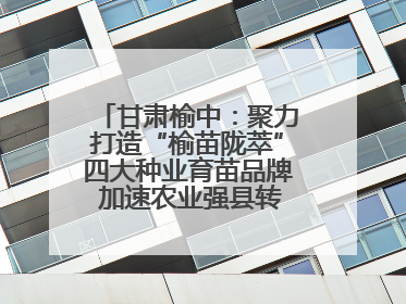 甘肃榆中：聚力打造“榆苗陇萃”四大种业育苗品牌 加速农业强县转型步伐