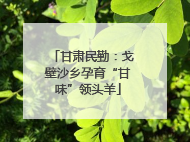 甘肃民勤：戈壁沙乡孕育“甘味”领头羊