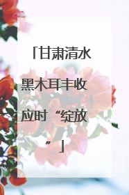 甘肃清水黑木耳丰收应时“绽放”