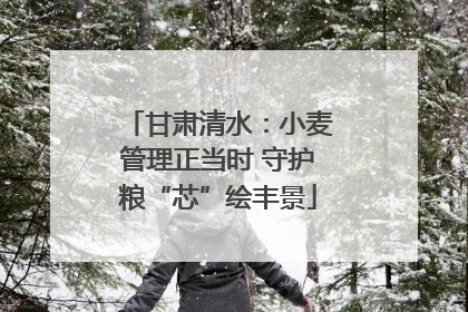甘肃清水：小麦管理正当时 守护粮“芯”绘丰景