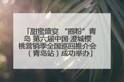甜蜜盛宴 “圈粉”青岛 第六届中国·澄城樱桃营销季全国巡回推介会（青岛站）成功举办