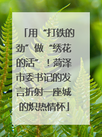 用“打铁的劲”做“绣花的活”！菏泽市委书记的发言折射一座城的炽热情怀