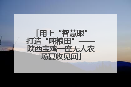 用上“智慧眼” 打造“吨粮田”——陕西宝鸡一座无人农场夏收见闻