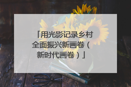 用光影记录乡村全面振兴新画卷（新时代画卷）