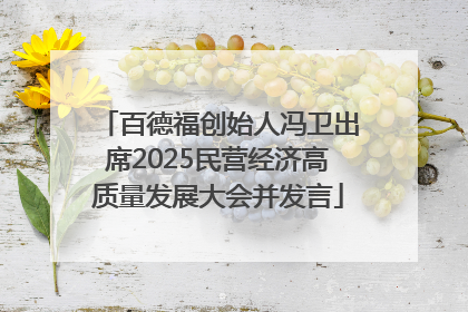 百德福创始人冯卫出席2025民营经济高质量发展大会并发言