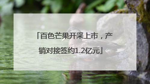 百色芒果开采上市，产销对接签约1.2亿元