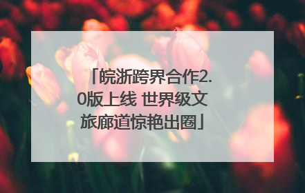 皖浙跨界合作2.0版上线 世界级文旅廊道惊艳出圈