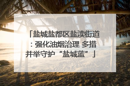 盐城盐都区盐渎街道：强化油烟治理 多措并举守护“盐城蓝”