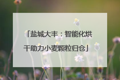 盐城大丰：智能化烘干助力小麦颗粒归仓