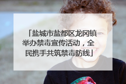盐城市盐都区龙冈镇举办禁毒宣传活动，全民携手共筑禁毒防线
