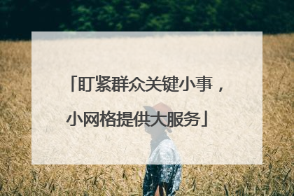 盯紧群众关键小事，小网格提供大服务