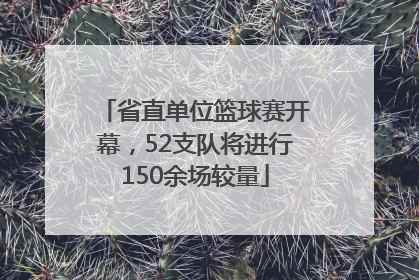省直单位篮球赛开幕，52支队将进行150余场较量